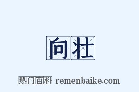 向壮是什么意思的图片